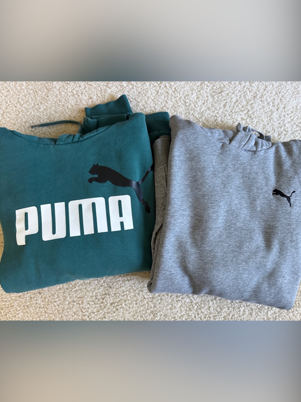 Puma Men’s hooded sweatshirts